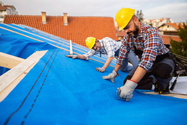 Best Roof Gutter Cleaning  in Colonia, NJ