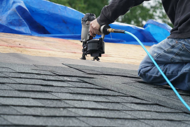 Best Storm Damage Roof Repair  in Colonia, NJ