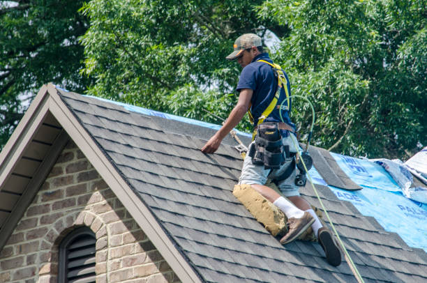 Best Roof Maintenance Services  in Colonia, NJ